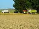 obr
